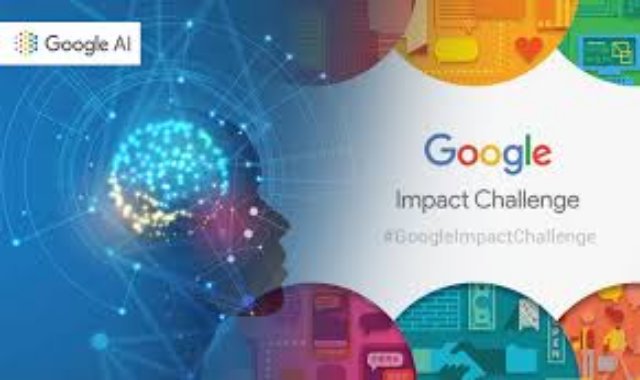 Google спасает окружающую среду с помощью AI Impact Challenge