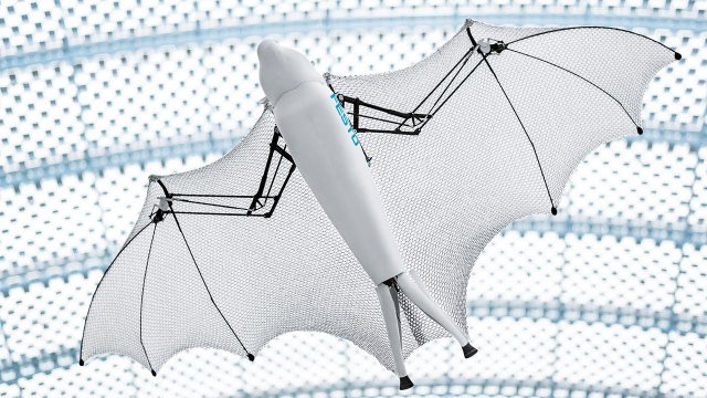 Festo представила летающего робота-летучую мышь BionicFlyingFox